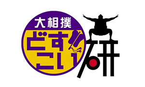 大相撲どすこい研