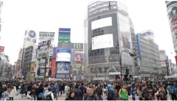 SHIBUYA CROSSINGS