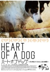 映画「ハート・オブ・ドッグ～犬が教えてくれた人生の練習～」