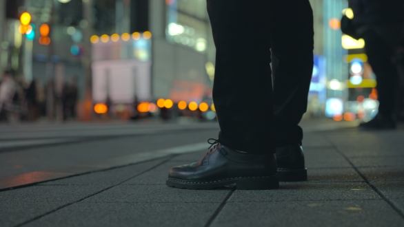 Soles in Japan