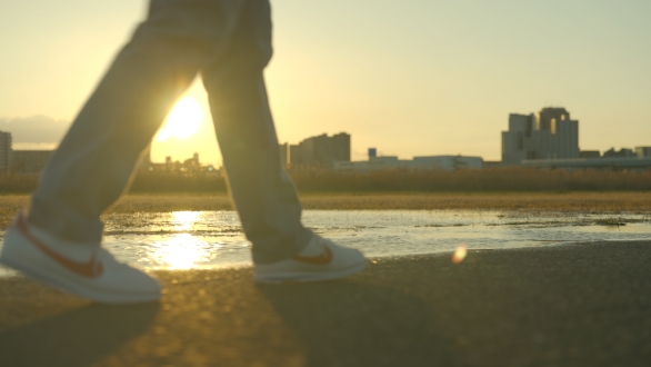 Soles in Japan