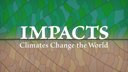 IMPACTS