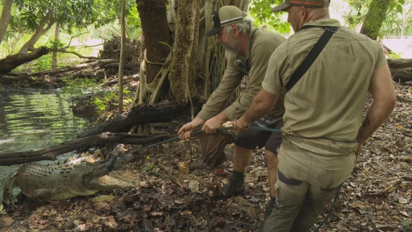超密着！世界の“凄ワザ”キング～第九弾～　オーストラリア　ワニハンター
