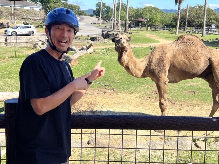 遠くへ行きたい　2025年11月