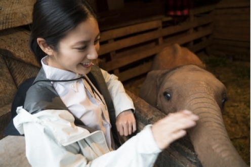 感動地球スペシャル みなしごゾウを守れ 松下奈緒ケニア感動物語