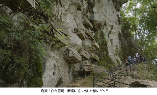 体感！グレートネイチャー「海から出現！謎の“K字”島〜インドネシア・スラウェシ島〜」