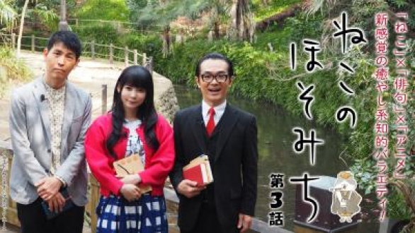 ねこのほそみち　#3等々力編