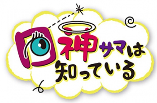 新感覚！目線のぞきみバラエティー　目神サマは知っている