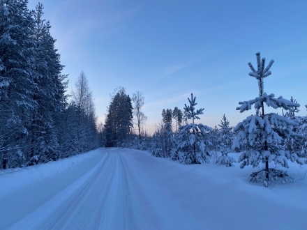 BS朝日ウェルビーイングスペシャル　よき人生のヒント 　フィンランド－世界でいちばん幸せな冬へ－