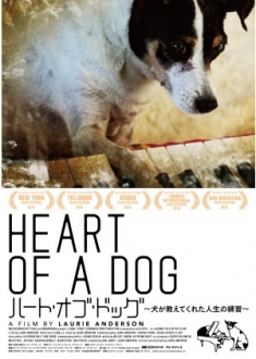 映画「ハート・オブ・ドッグ～犬が教えてくれた人生の練習～」