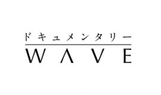 ドキュメンタリーWAVE 「追跡　アフリカゾウ 密猟最前線」